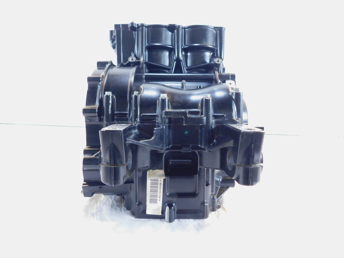 BMW F800GT F800R F800S F800ST Engine Motor Housing Block Cylinder Jugs Crankcase - C3 Cycle