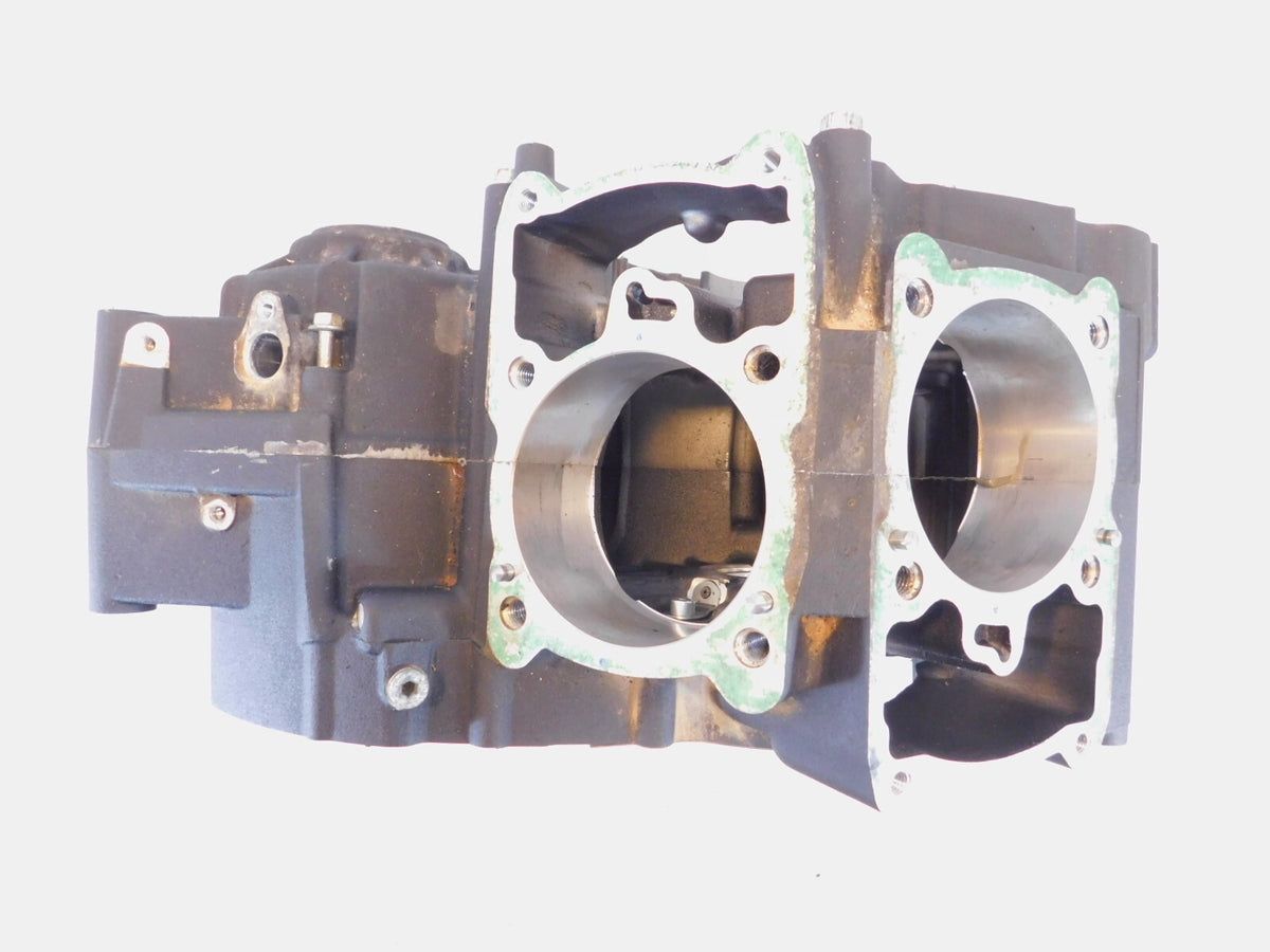 2015-2020 Harley Davidson Street 500 & 750 Engine Motor Crankcase Crank Cases - C3 Cycle