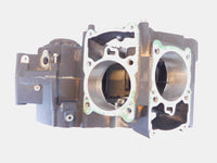 2015-2020 Harley Davidson Street 500 & 750 Engine Motor Crankcase Crank Cases - C3 Cycle