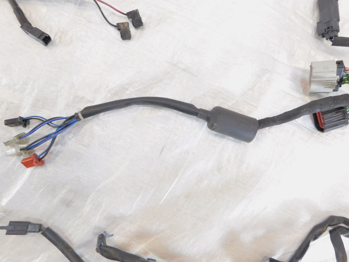 2015 & 2016 Harley Davidson Street 500 & 750 Main Wiring Wire Harness Loom - C3 Cycle