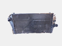 Aprilia Shiver 750 SL750 Dorsoduro SMV750 Engine Motor Cooling Radiator - 851596 - C3 Cycle