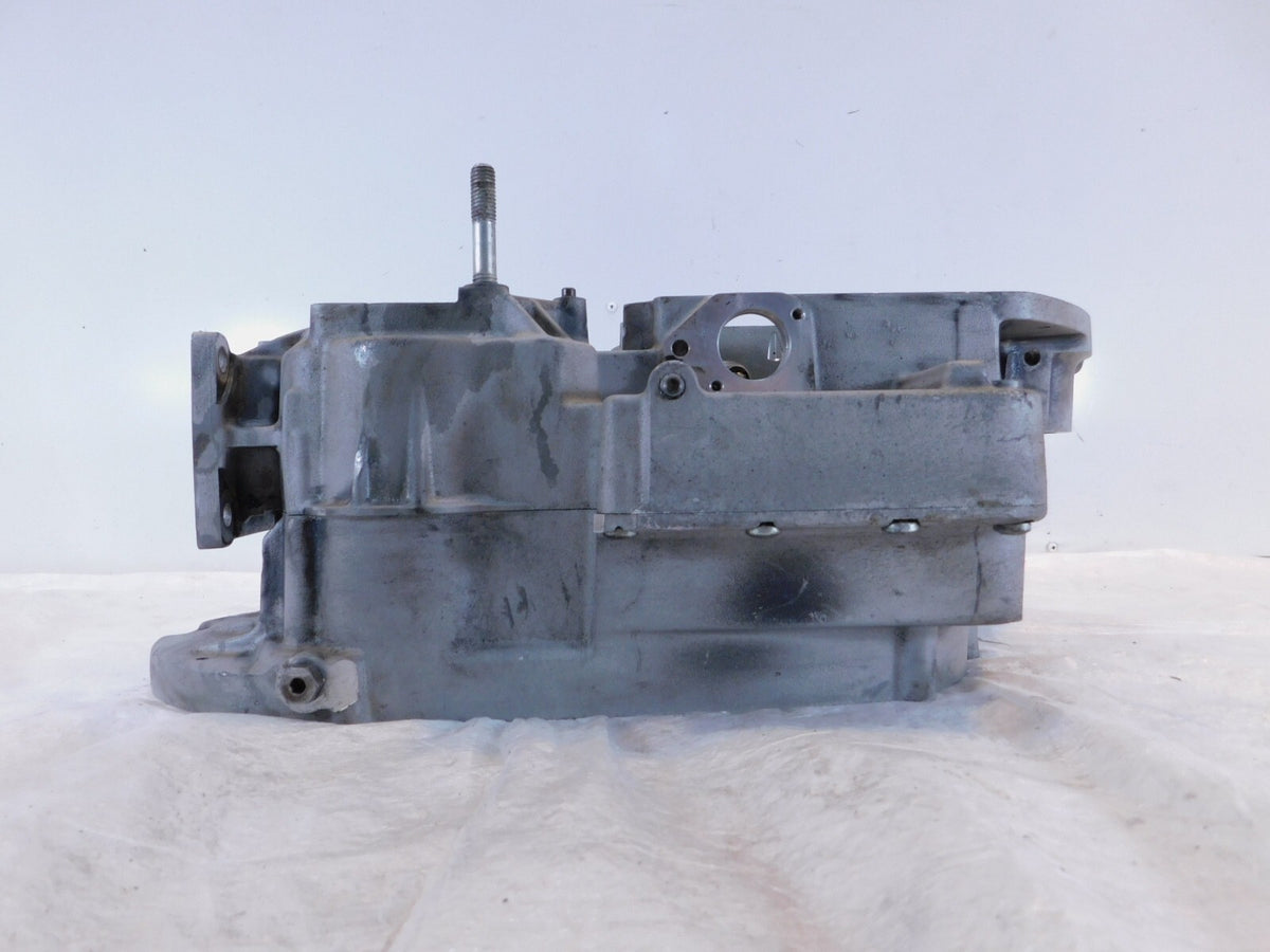 Buell M2 Cyclone S3 Thunderbolt & X1 Lightning Engine Motor Crankcases Cases