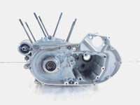 Harley Davidson Sportster 883 1200 100th Anniversary Engine Motor Case Crankcase - C3 Cycle