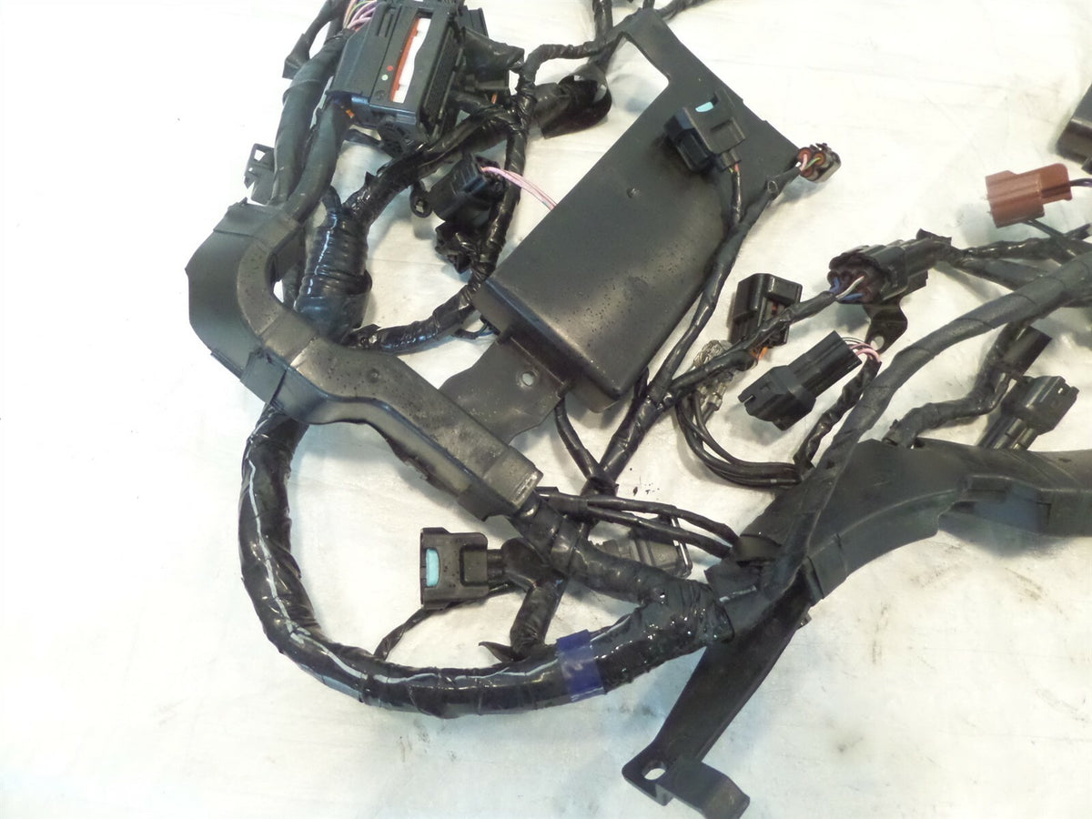 2013-2016 Triumph Street Triple R Rx Main Wire Harness Wiring Loom - ABS Only - C3 Cycle