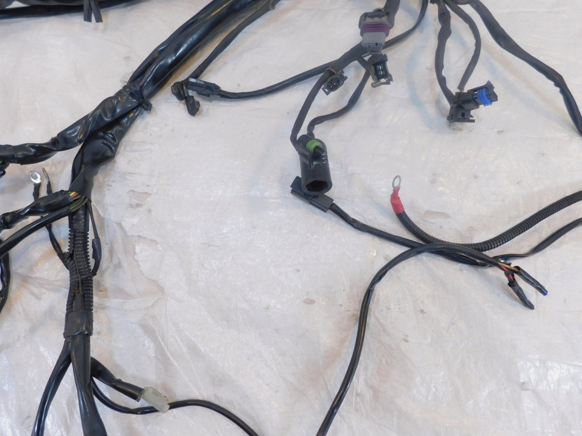 Harley Davidson Touring Road & Electra Glide Main & EFI Wiring Wire Harness Loom - C3 Cycle
