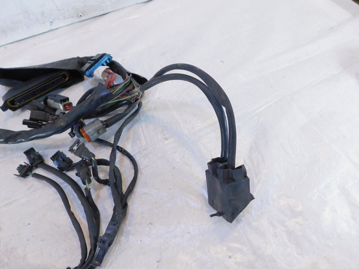 Harley Davidson Electra Glide Classic & Ultra Classic Fuel Injection EFI Harness - C3 Cycle