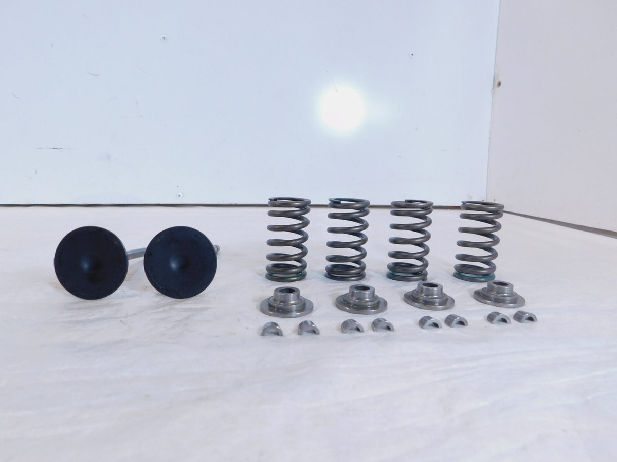2020-2022 Indian Challenger Limited Dark Horse Intake & Exhaust Valves & Springs - C3 Cycle