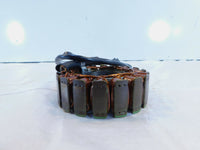 2008 Buell 1125 1125R & 1125CR Alternator Generator Stator Coil Y0442.1AMA - C3 Cycle