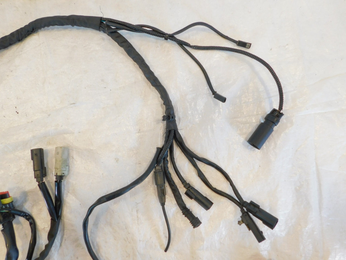 2015 Harley Davidson Tri Glide Ultra Classic Trike Main Wire Wiring Harness Loom - C3 Cycle