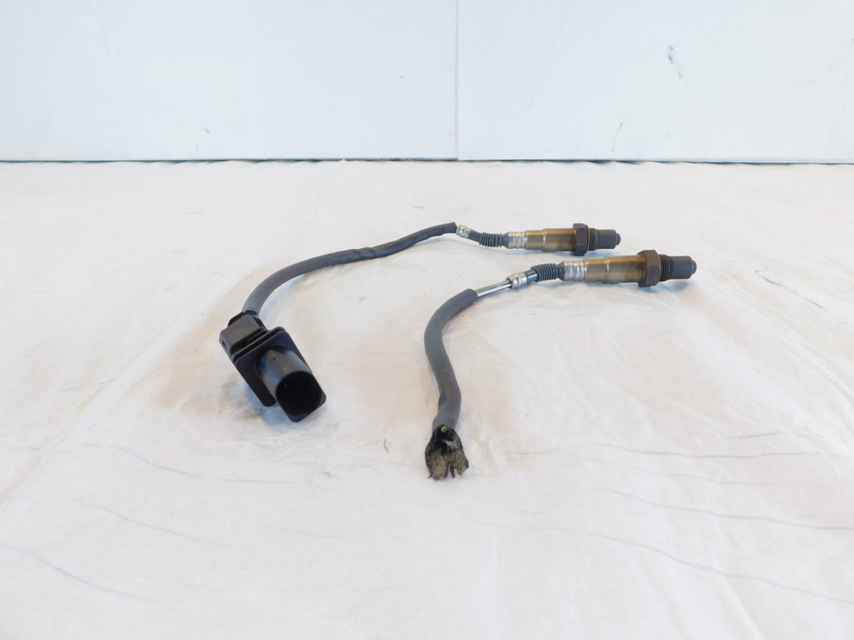 Harley Davidson Road King Street & Electra Glide Exhaust Pipe O2 Oxygen Sensors - C3 Cycle