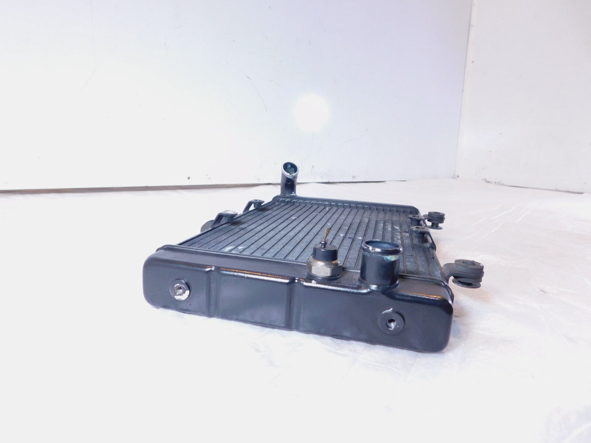 1994-1995 Honda CB1000 CB 1000 Front Engine Motor Water Cooling Coolant Radiator - C3 Cycle