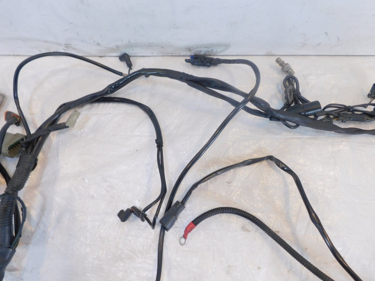 Harley Davidson Touring Road & Electra Glide Main & EFI Wiring Wire Harness Loom - C3 Cycle
