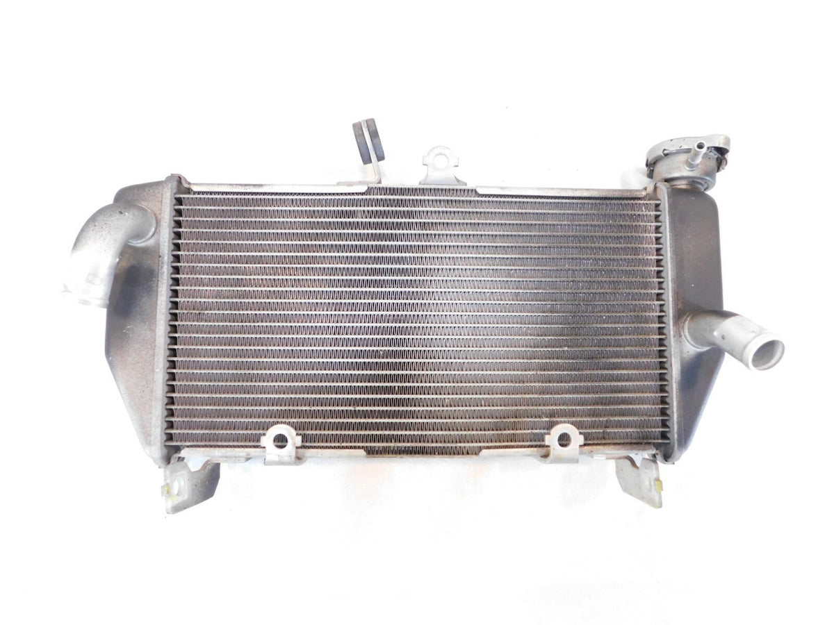 2015-2022 Yamaha YZFR3 YZF R3 Front Engine Motor Water Cooling Coolant Radiator - C3 Cycle