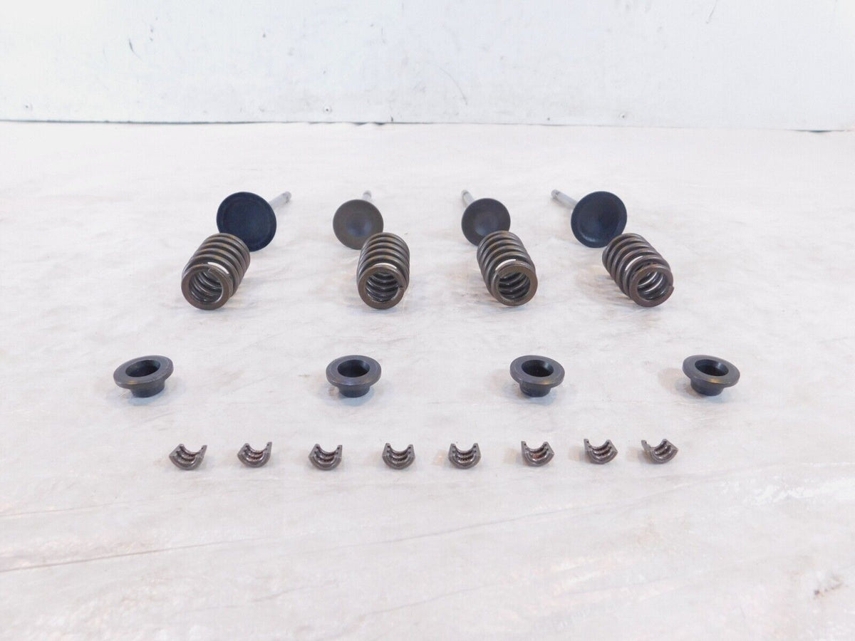 Victory Hammer Kingpin & Vegas Exhaust & Intake Valves w/ Retainers & Springs - C3 Cycle