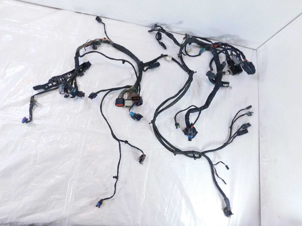 2018-2020 Harley Davidson Softail Low Rider & Fat Boy Main Wire Wiring Harness