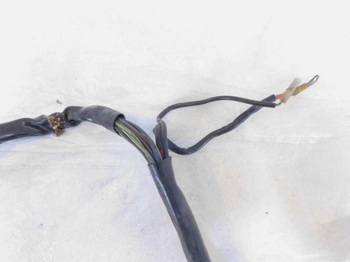 Harley Davidson Electra Glide Classic & Ultra Classic Fuel Injection EFI Harness - C3 Cycle