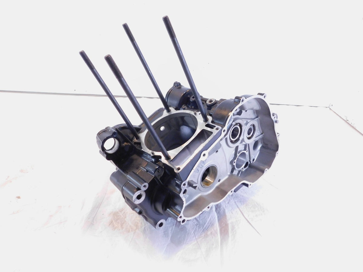 2008-2016 BMW G650GS Sertao G650 Xcountry Engine Motor Housing Block Crankcase - C3 Cycle