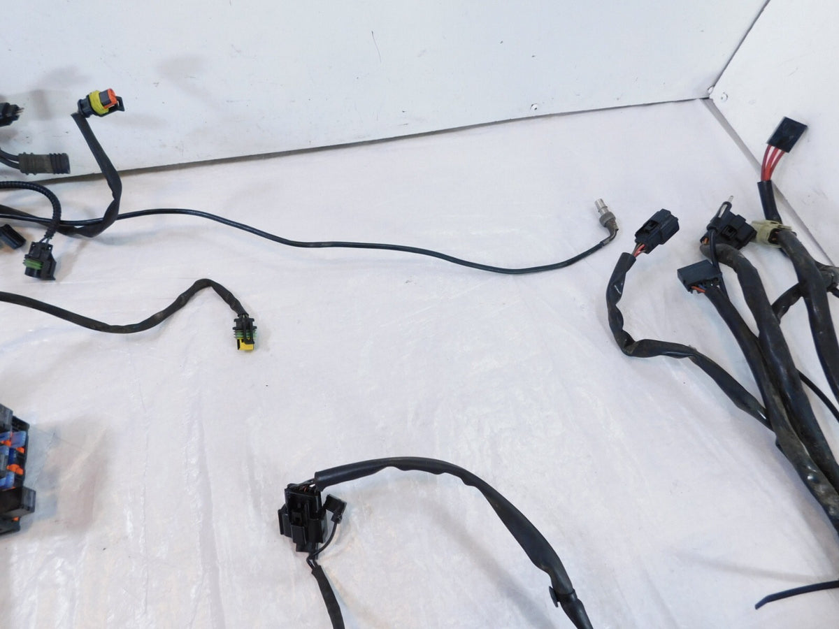 Harley Davidson Road King Street Electra Glide NON-ABS Main Wire Wiring Harness