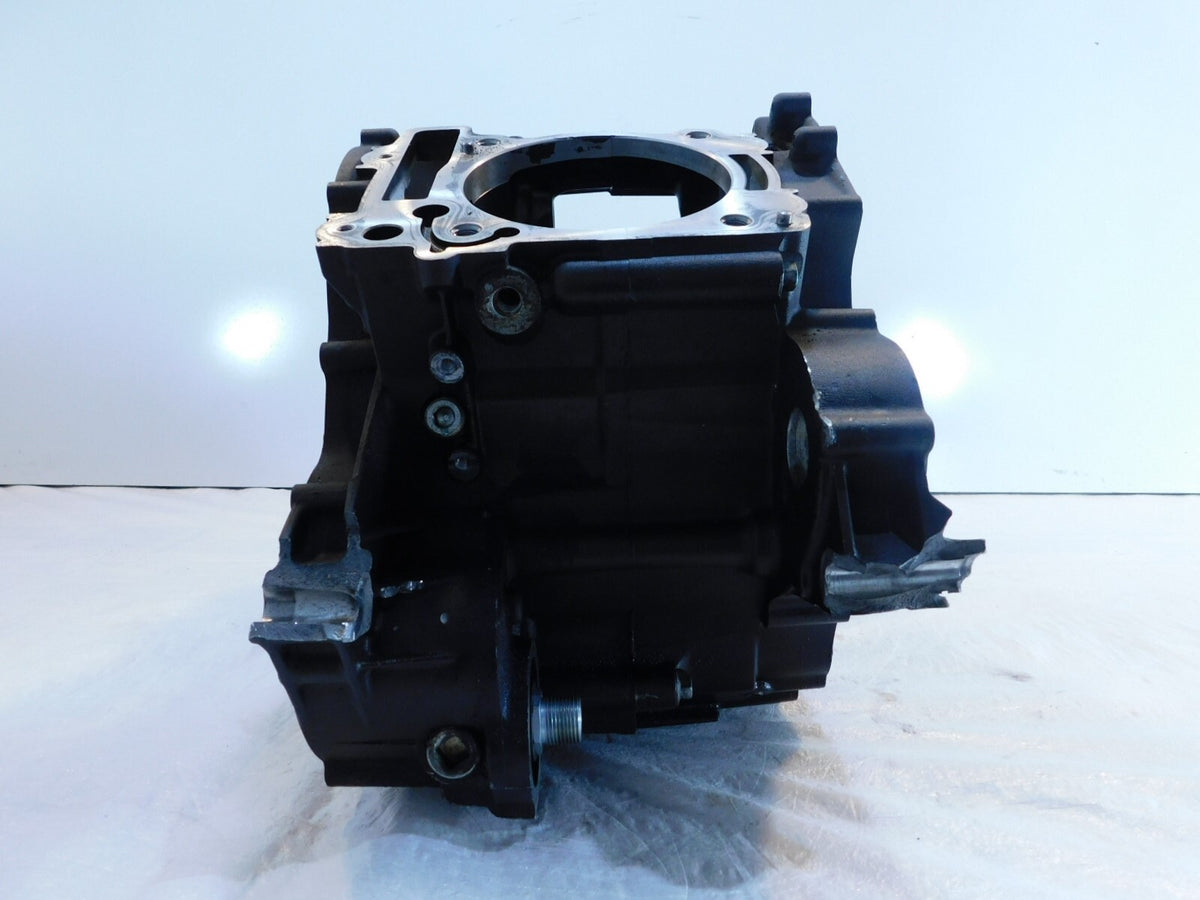 2015-2018 Indian Scout 1200 Black Engine Motor Crankcase Crank Case 1205884-687 - C3 Cycle