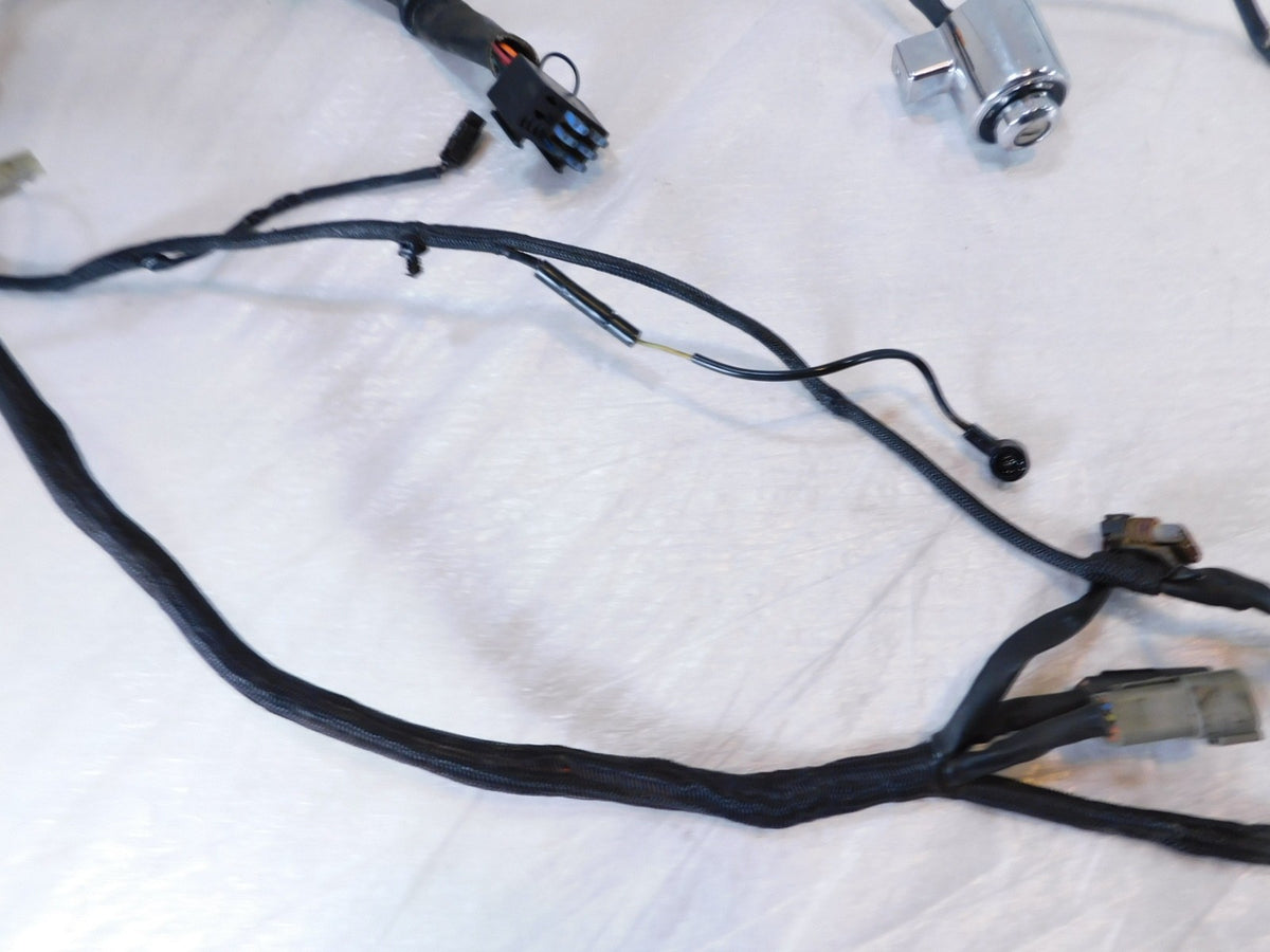 2005 Harley Sportster 883 & 1200 Wiring Wire Harness w/ Ignition Switch -No Key - C3 Cycle