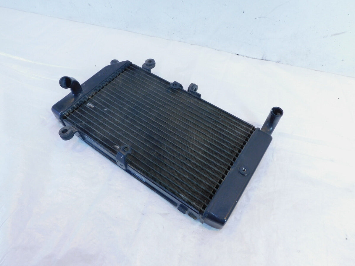 2002-2013 Honda FSC600 Silver Wing 600 Engine Motor Cooling Coolant Radiator - C3 Cycle