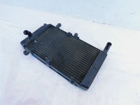 2002-2013 Honda FSC600 Silver Wing 600 Engine Motor Cooling Coolant Radiator - C3 Cycle