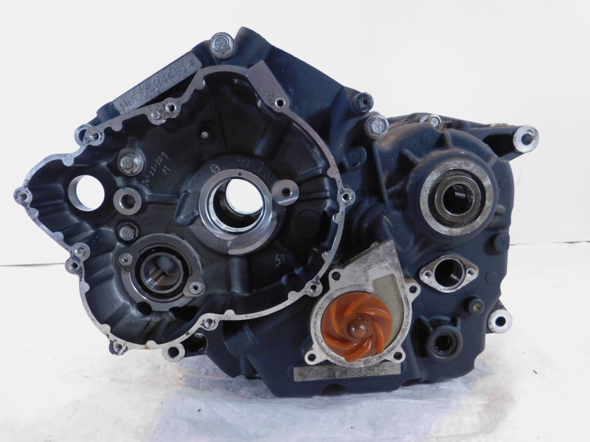 2015-2020 Harley Davidson Street 500 & 750 Engine Motor Crankcase Crank Cases - C3 Cycle