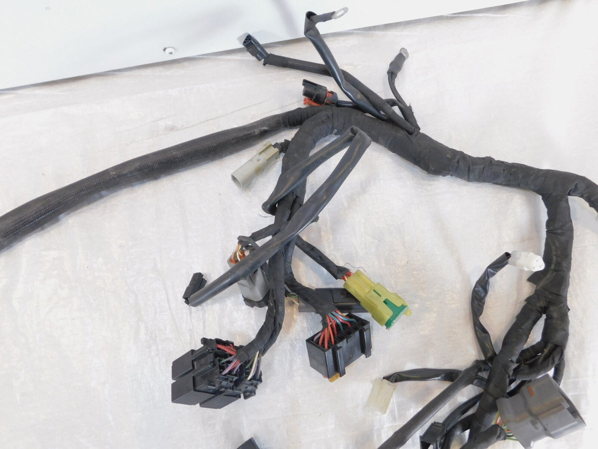 2015 & 2016 Harley Davidson Street 500 & 750 Main Wiring Wire Harness Loom - C3 Cycle