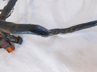 2004 & 2005 Harley Davidson Dyna Low Rider Super Glide Main Wiring Harness Loom - C3 Cycle