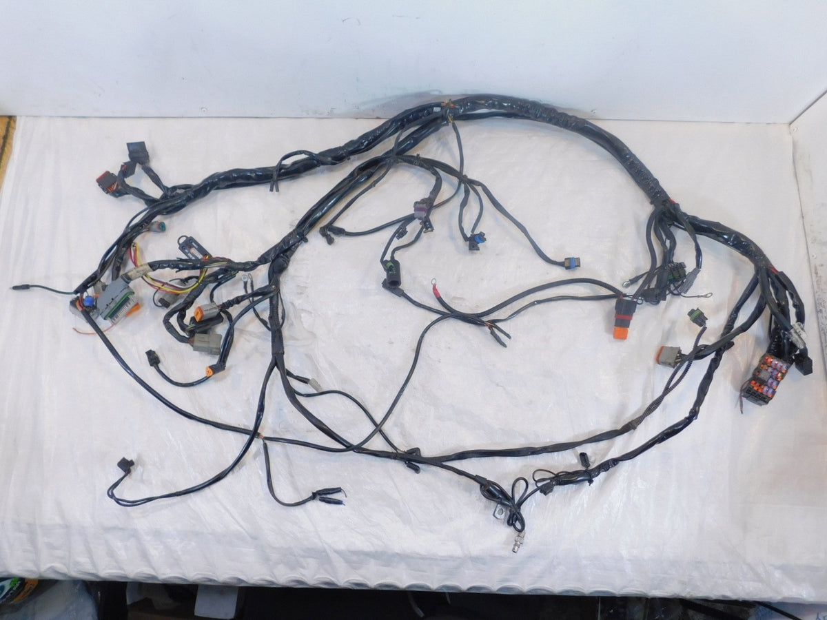 Harley Davidson Touring Road & Electra Glide Main & EFI Wiring Wire Harness Loom - C3 Cycle