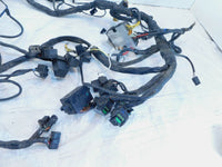 2002 2003 2004 Triumph Sprint 955 ST Main Wire Wiring Harness Loom - C3 Cycle