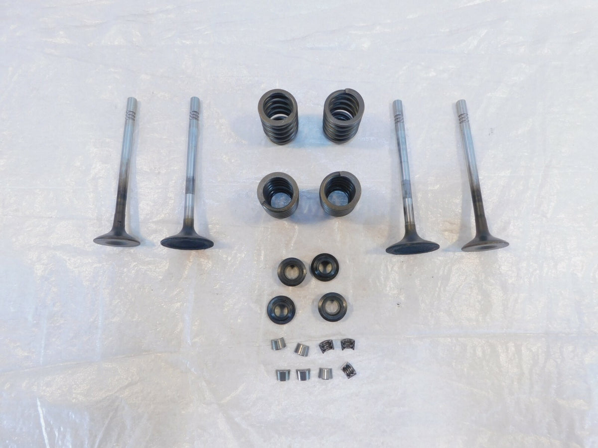 Victory Vision Kingpin & Vegas Exhaust & Intake Valves w/ Retainers & Springs - C3 Cycle