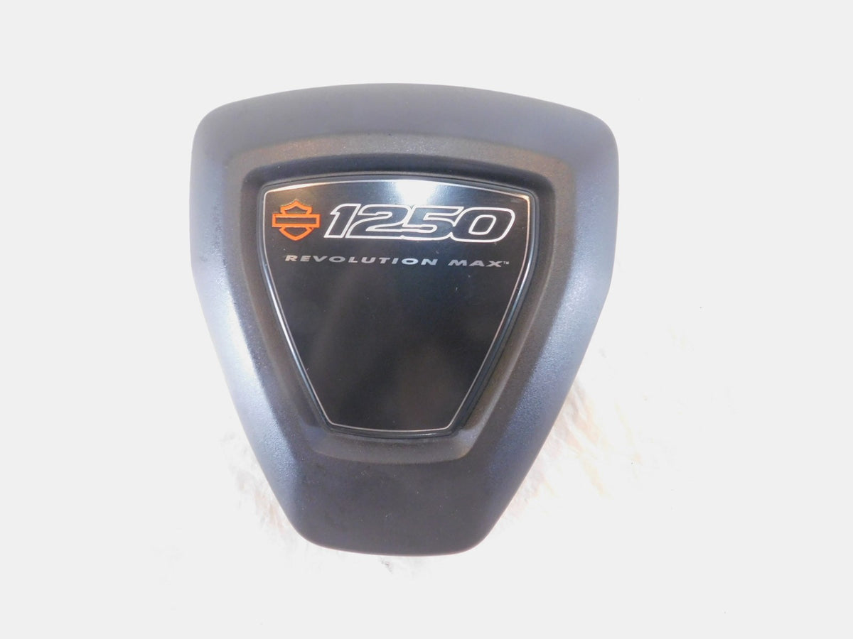 Harley Pan America & Sportster S 1250 RH1250S Right Engine Motor Side Cover - C3 Cycle