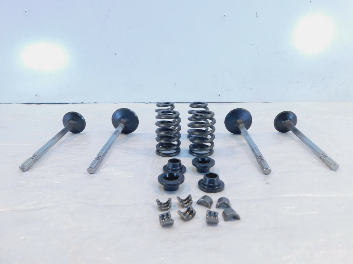 Victory Vision Kingpin & Vegas Exhaust & Intake Valves w/ Retainers & Springs - C3 Cycle