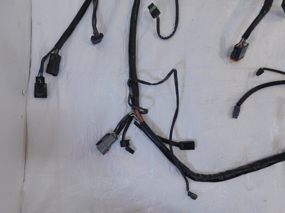 2003 Harley Davidson Softail Heritage Classic & Fat Boy Main Wire Wiring Harness - C3 Cycle