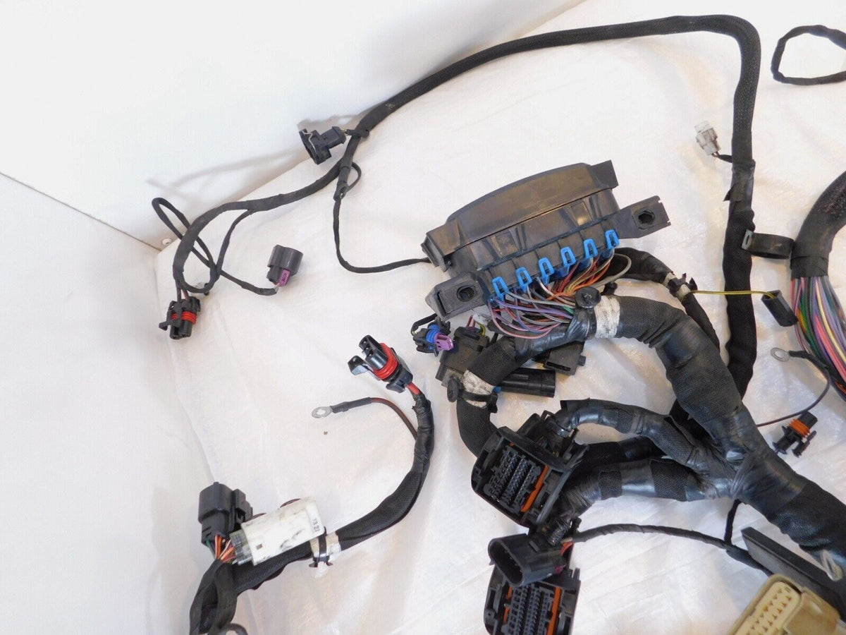 17 Indian Chief Chieftain Roadmaster & Springfield Main Wire Wiring Harness Loom - C3 Cycle
