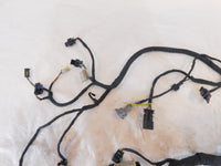 Harley Davidson Pan America RA1250 1250 1250S Engine Wire Wiring Harness Loom - C3 Cycle