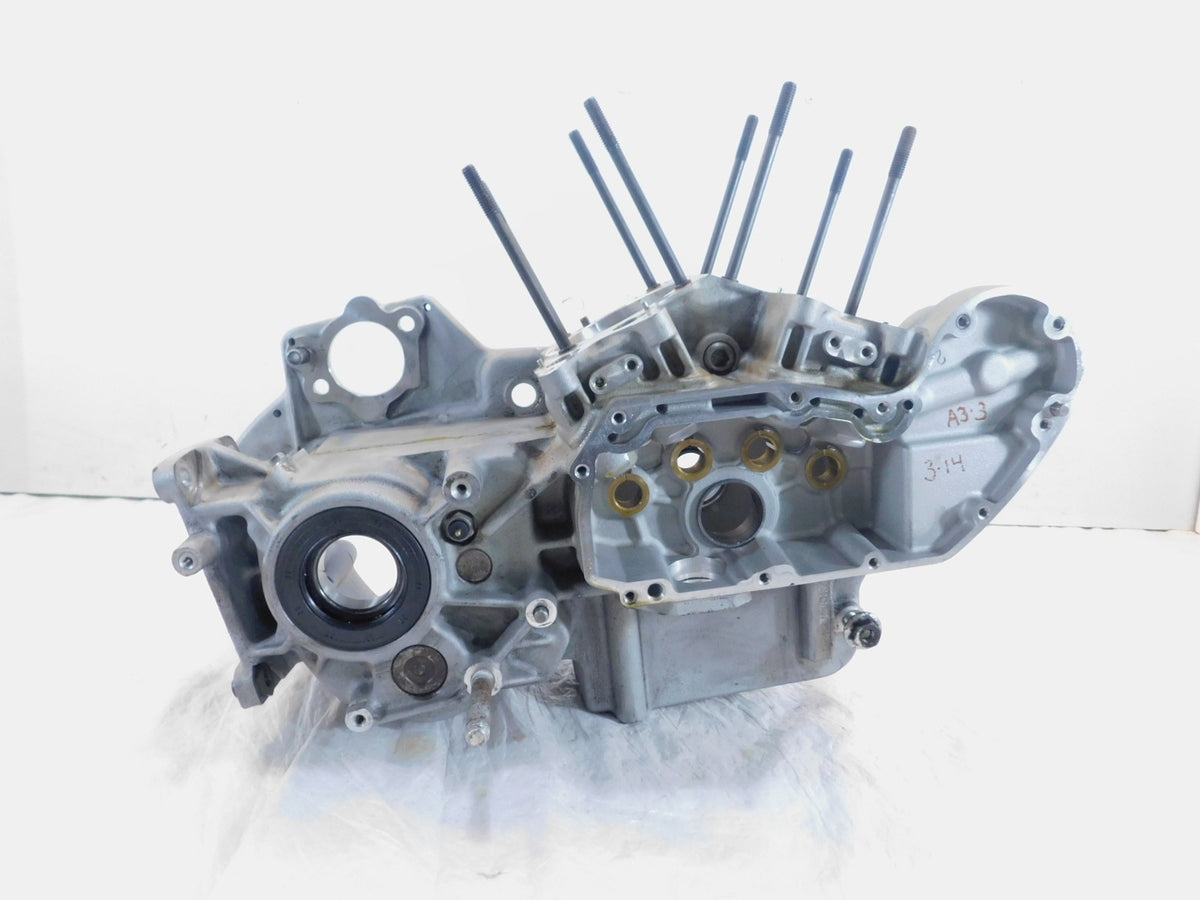 Harley Davidson Sportster 883 1200 100th Anniversary Engine Motor Case Crankcase - C3 Cycle