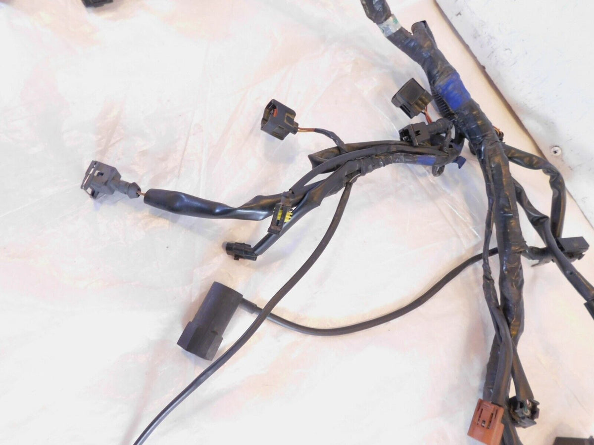 2007 2008 2009 2010 2011 2012 Triumph Tiger 1050 Main Wire Harness Wiring Loom - C3 Cycle