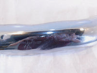 Harley Davidson Touring Road King Electra Glide Chrome Exhaust Pipe Heat Shield - C3 Cycle