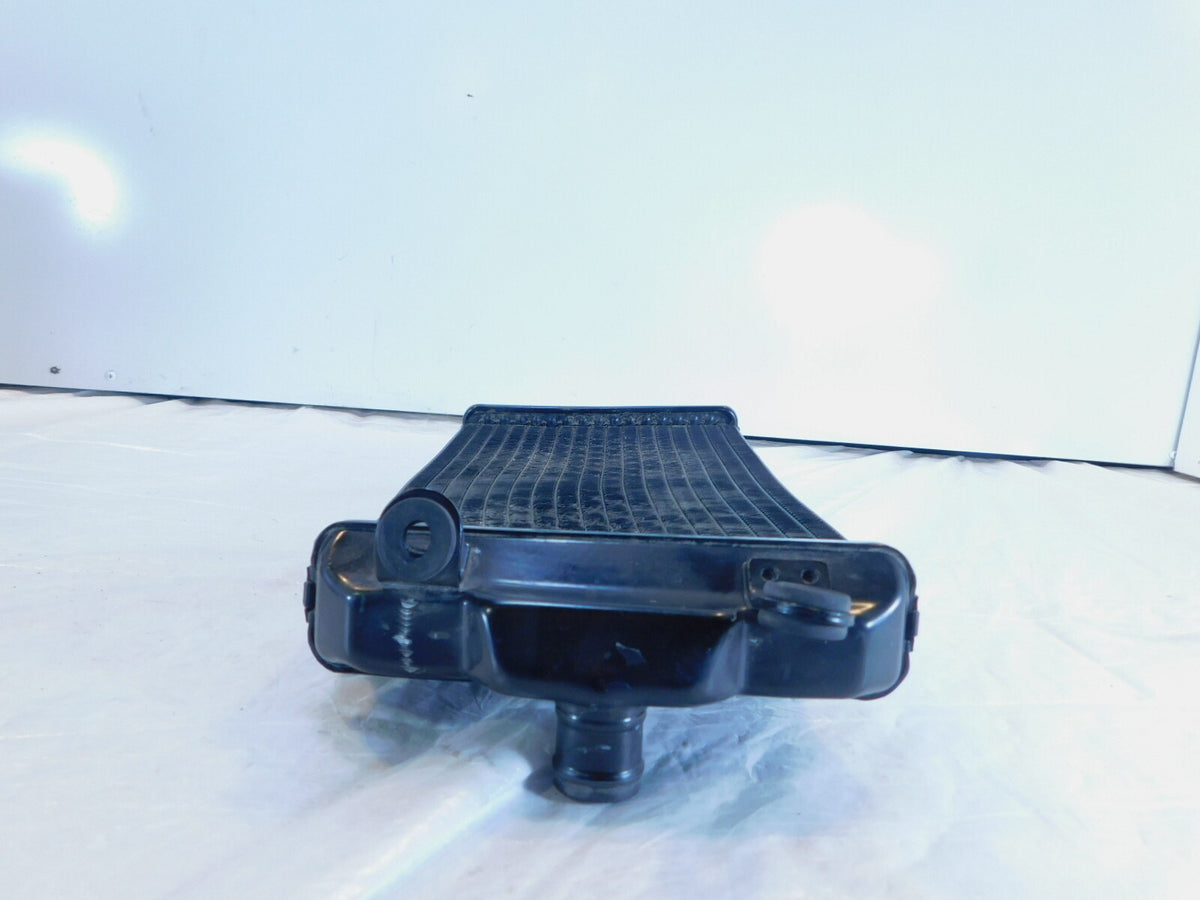 2015-2020 Harley Davidson Street XG500 500 & XG750 750 Engine Coolant Radiator - C3 Cycle