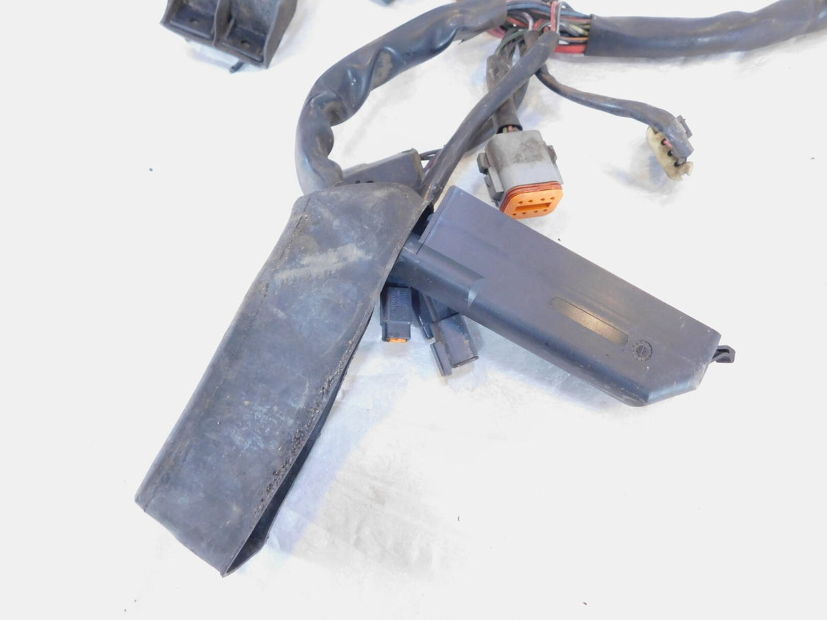 Harley Davidson Electra Glide Classic & Ultra Classic Fuel Injection EFI Harness - C3 Cycle