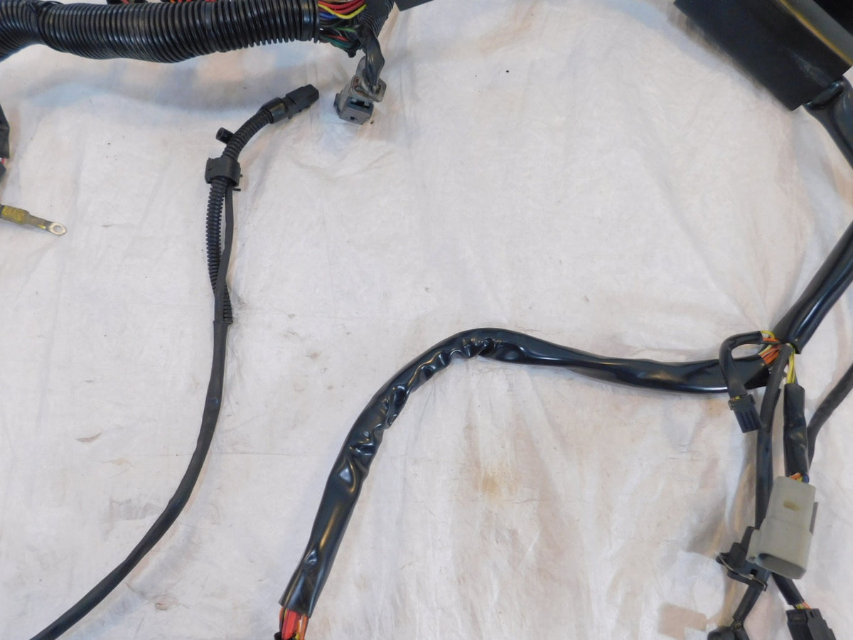 Harley Davidson Softail Heritage Classic & Fat Boy EFI Main Wire Wiring Harness - C3 Cycle