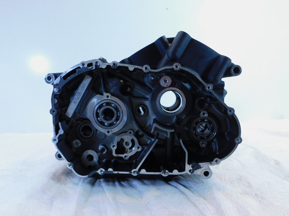 2015-2020 Harley Davidson Street 500 & 750 Engine Motor Crankcase Crank Cases
