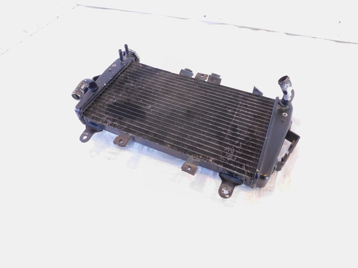 2007 2008 2009 2010 2011 2012 Triumph Tiger 1050 Engine Motor Cooling Radiator - C3 Cycle