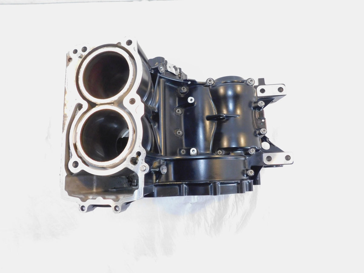 BMW F800GT F800R F800S F800ST Engine Motor Housing Block Cylinder Jugs Crankcase - C3 Cycle