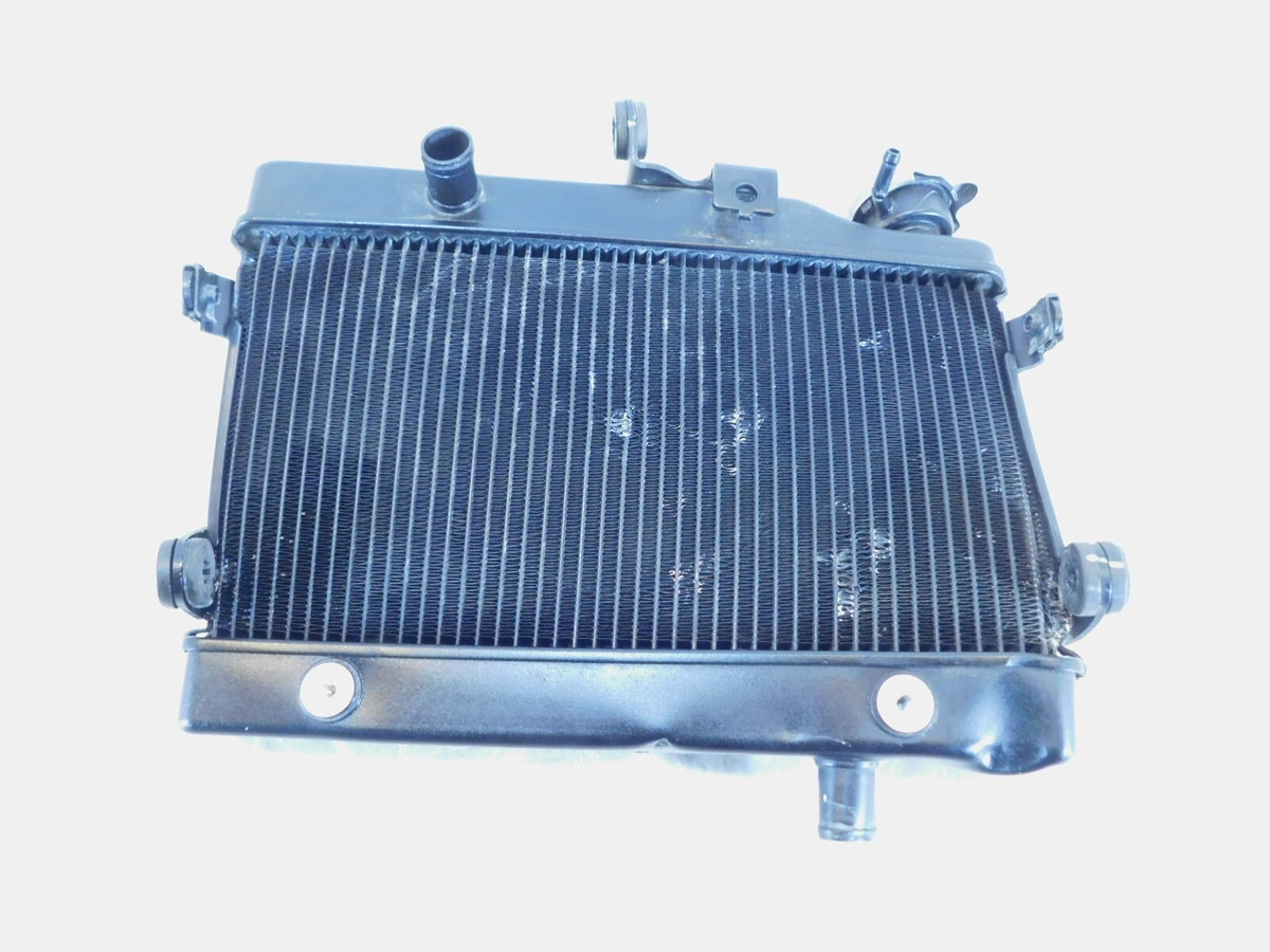 2020-2023 Honda CMX300 Rebel 300 Engine Motor Cooling Coolant Radiator - Dents - C3 Cycle