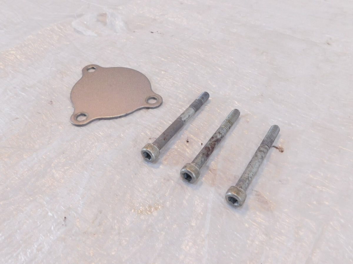 1991-1993 Honda Nighthawk 750 CB750 Silver Engine Left Side Cover Plate & Screws - C3 Cycle