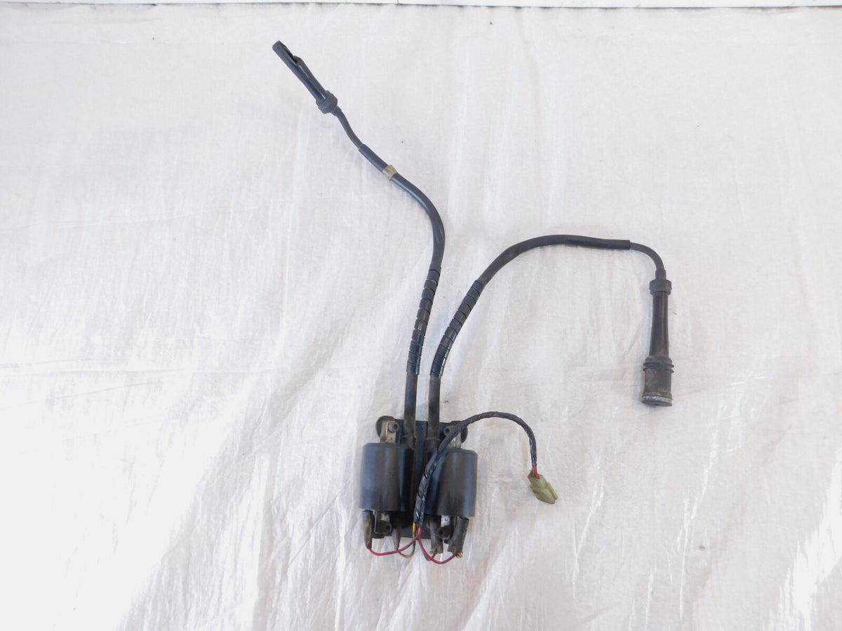 Yamaha Royal Star Venture XVZ13 XVZ1300 Engine Ignition Coils & Spark Plug Wires - C3 Cycle