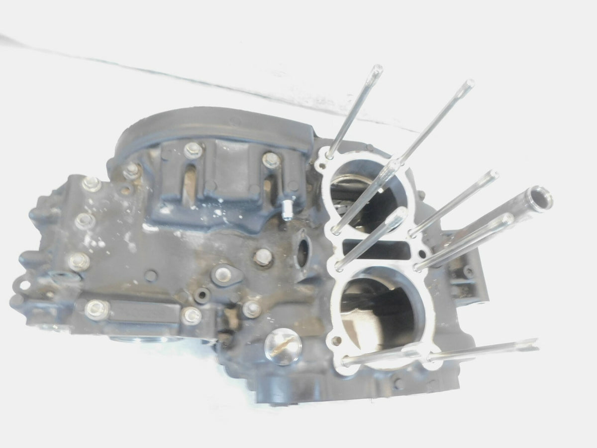 Triumph Bonneville T100 & Thruxton 900 Black Engine Motor Block Crankcase - C3 Cycle